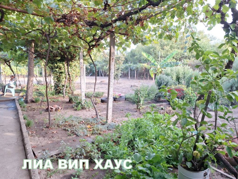 Продава КЪЩА, с. Бошуля, област Пазарджик, снимка 1 - Къщи - 48627443