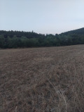 Продава ЗЕМЕДЕЛСКА ЗЕМЯ, с. Шума, област София област, снимка 2