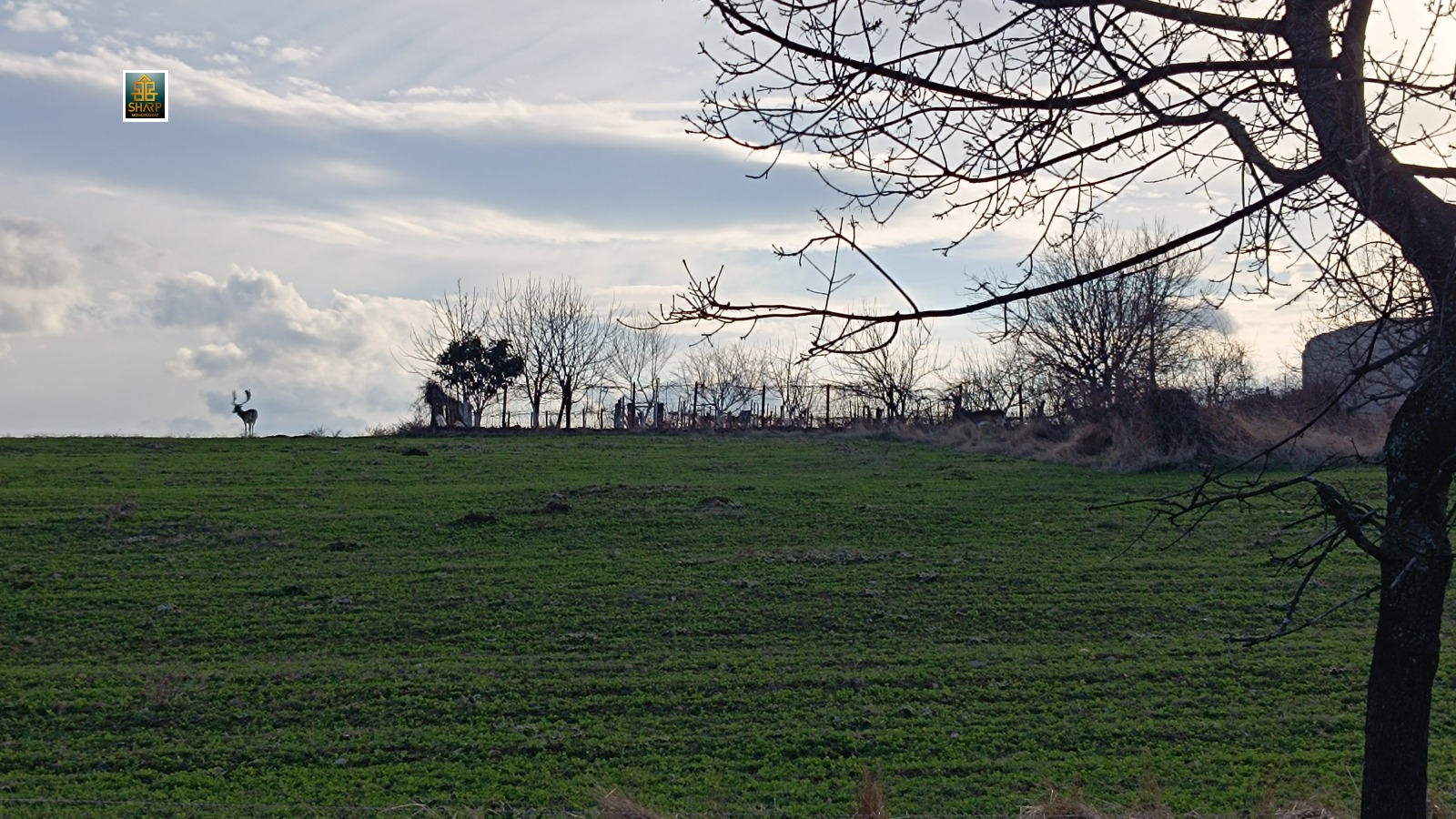 ������� ������ | Imot.bg � ����������� 4