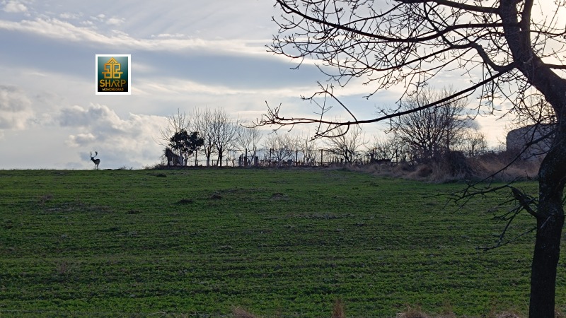 Eladó  Cselekmény régió Kardzhali , Gnjazdovo , 436 négyzetméter | 58143412 - kép [4]