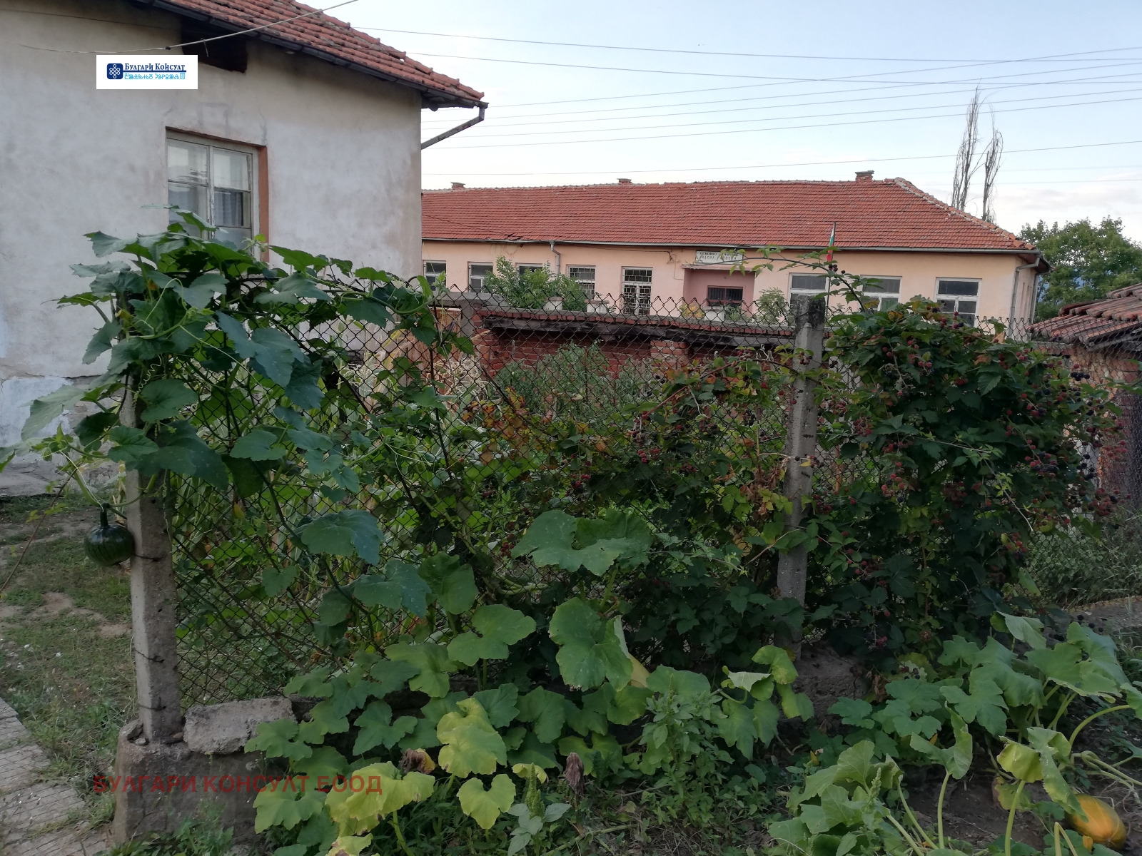 Продава КЪЩА, с. Гуцал, област София област, снимка 5 - Къщи - 54287353