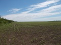 Продава ЗЕМЕДЕЛСКА ЗЕМЯ, гр. Добрич, област Добрич, снимка 8