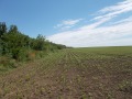 Продава ЗЕМЕДЕЛСКА ЗЕМЯ, гр. Добрич, област Добрич, снимка 7