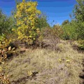 Продава  Парцел град София , с. Войнеговци , 1500 кв.м | 28247379 - изображение [6]