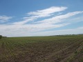Продава  Земеделска земя област Добрич , гр. Добрич , 60 дка | 52660610 - изображение [3]
