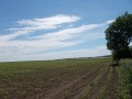 Продава  Земеделска земя област Добрич , гр. Добрич , 60 дка | 52660610 - изображение [4]