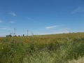 Продава  Земеделска земя област Добрич , гр. Добрич , 60 дка | 52660610 - изображение [5]