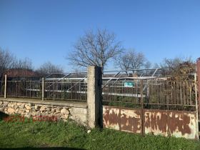 ������ ������� ������