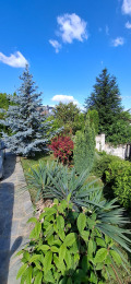 Продава КЪЩА, гр. Варна, м-т Зеленика, снимка 6