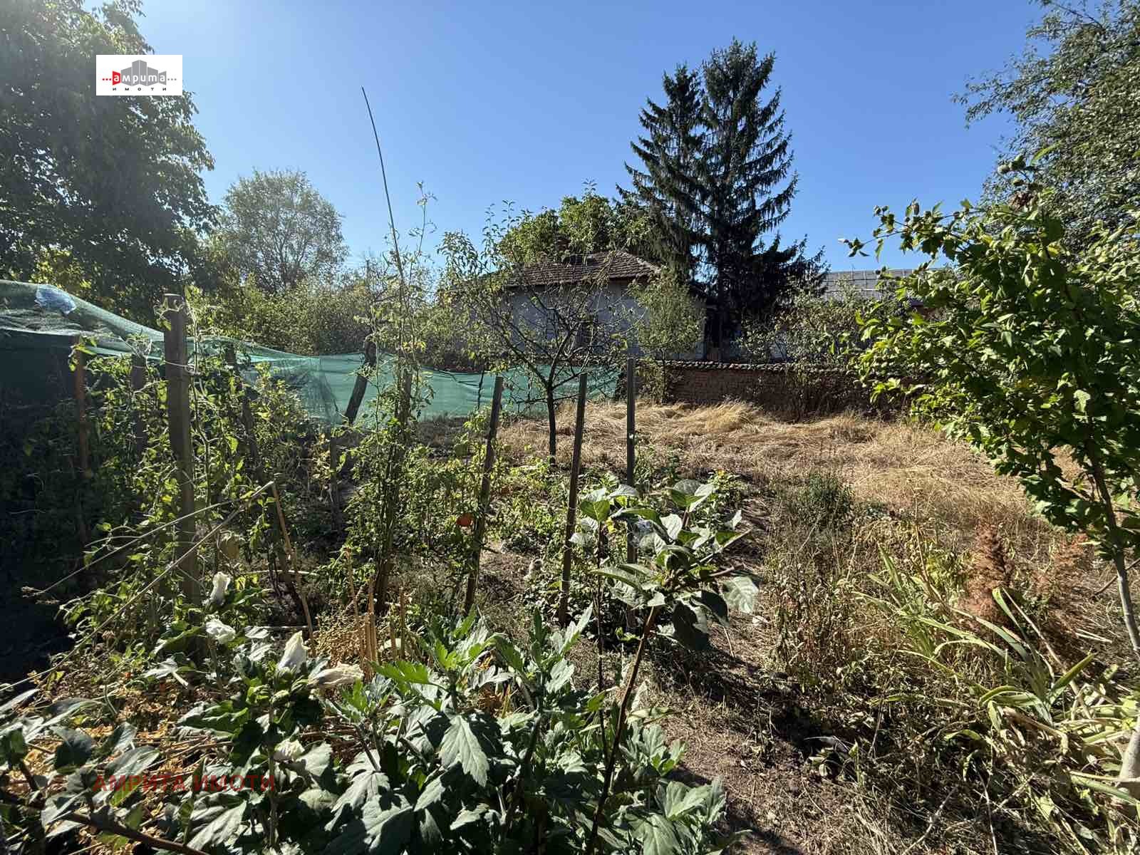 ������� ������ | Imot.bg � ����������� 8