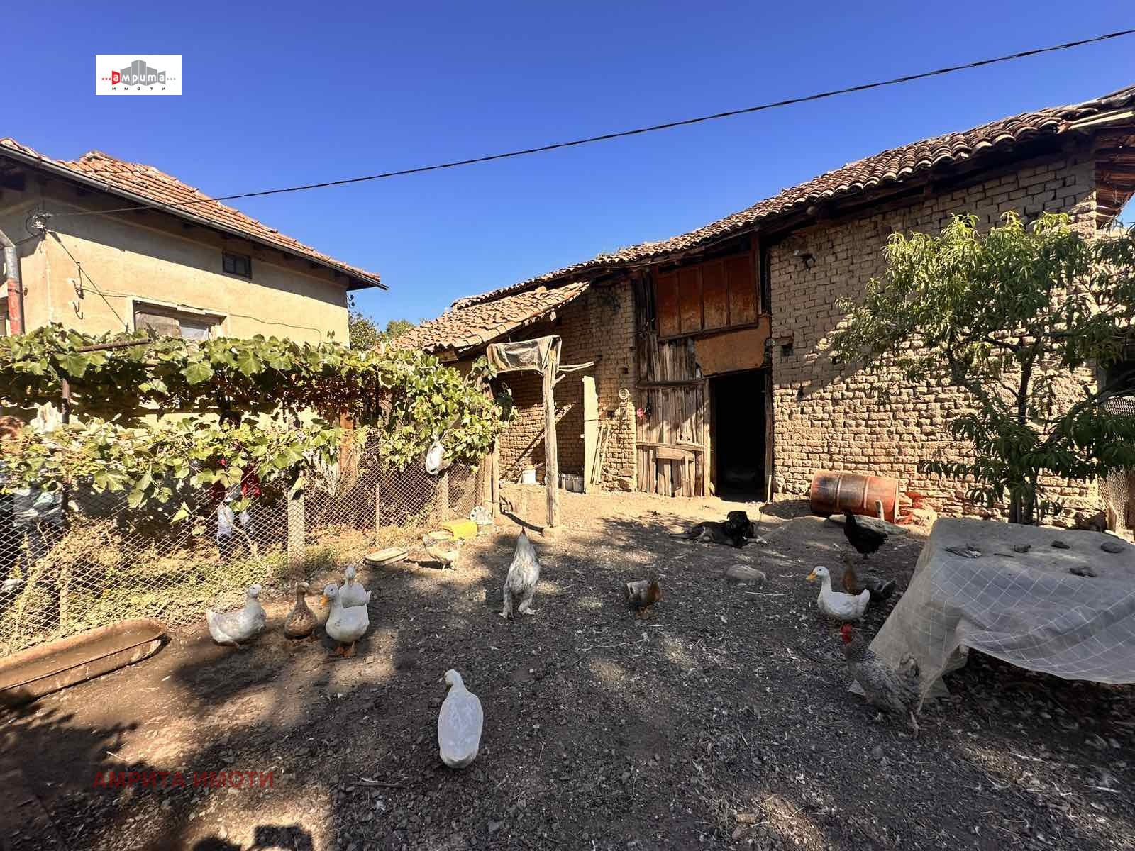 ������� ������ | Imot.bg � ����������� 7