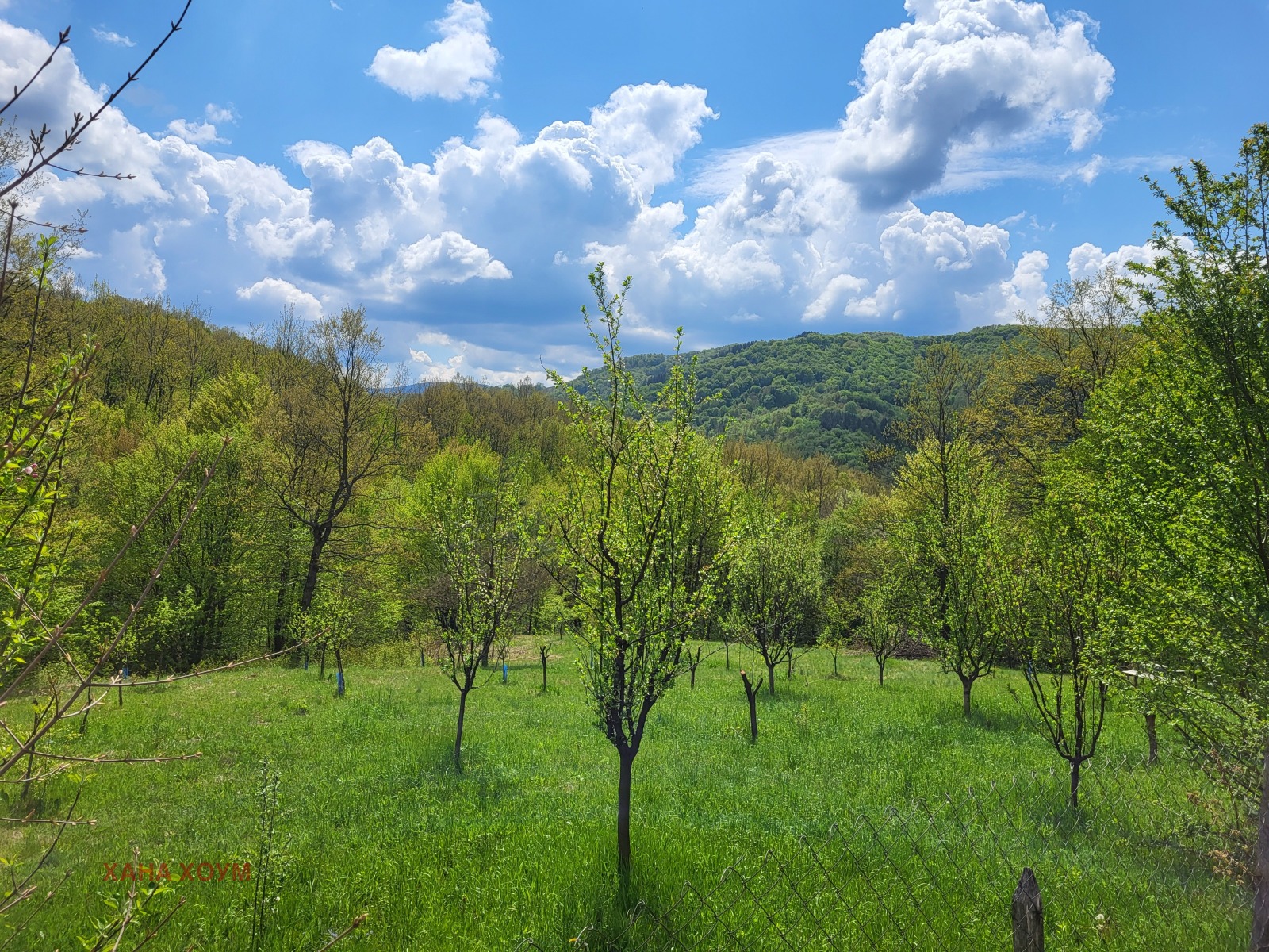 ������� ������ | Imot.bg � ����������� 1