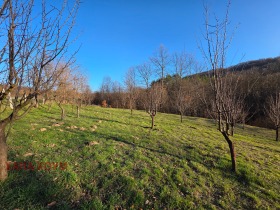 ������� ������ | Imot.bg � ����� ������ 7