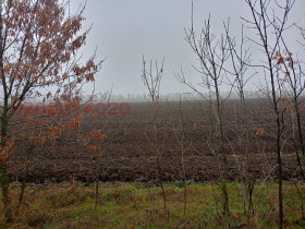 Land Balchik, region Dobrich 3