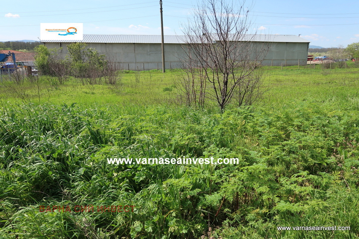 Продава КЪЩА, с. Дъбравино, област Варна, снимка 7 - Къщи - 54898364