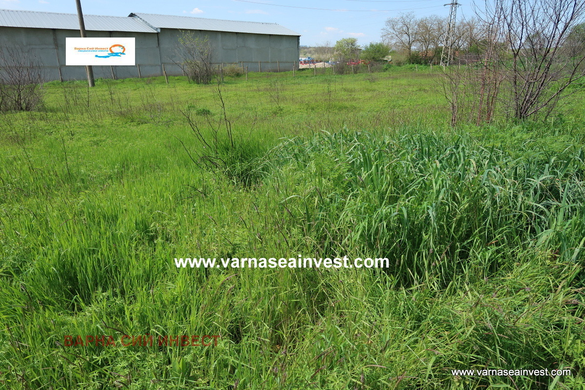 Продава КЪЩА, с. Дъбравино, област Варна, снимка 6 - Къщи - 54898364