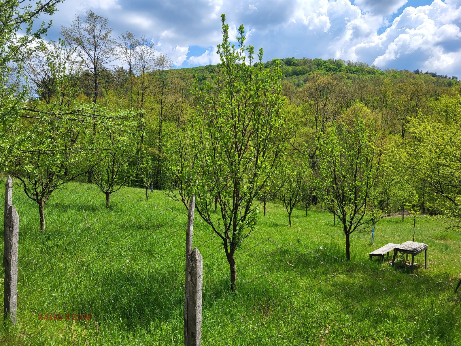 Продава ПАРЦЕЛ, гр. Троян, област Ловеч, снимка 2 - Парцели - 55163267