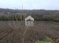 Продава ПАРЦЕЛ, с. Йорданово, област Силистра, снимка 2