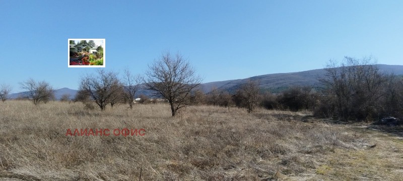 Na prodej  Spiknutí Sofia , Lozen , 3126 m2 | 88182181 - obraz [7]