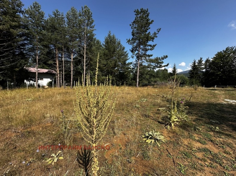 À venda  Trama região Blagoevgrad , Razlog , 410 m² | 38769103 - imagem [4]