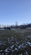 Продава ПАРЦЕЛ, гр. Разлог, област Благоевград, снимка 1