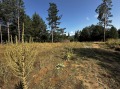 Продава ПАРЦЕЛ, област Благоевград, гр. Разлог • 40000 € / 78233.20 лв. • 20252876 5