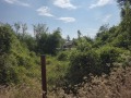 Продава ПАРЦЕЛ, област Велико Търново, с. Самоводене • 40000 лв. • 98402716 — Holmes.bg