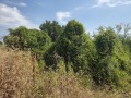 Продава ПАРЦЕЛ, област Велико Търново, с. Самоводене • 40000 лв. • 98402716 — Holmes.bg