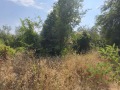 Продава ПАРЦЕЛ, област Велико Търново, с. Самоводене • 40000 лв. • 98402716 — Holmes.bg