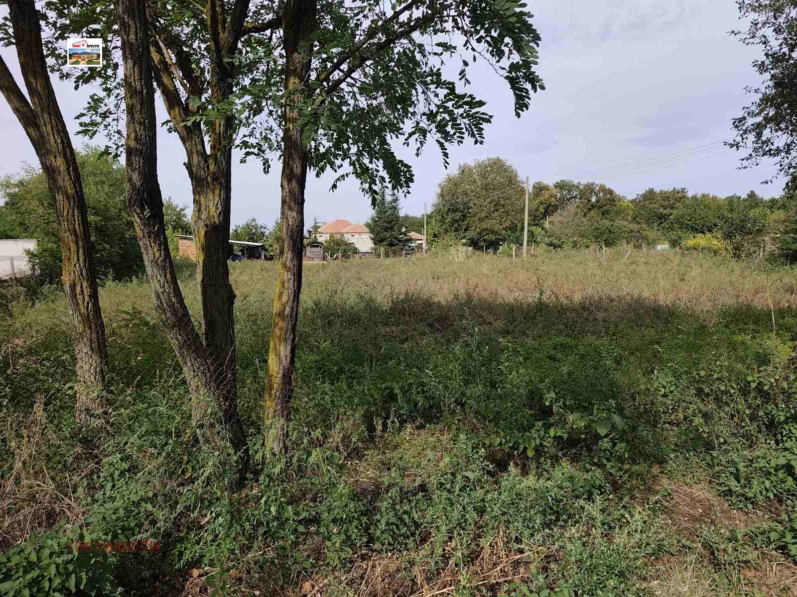 Продава ПАРЦЕЛ, с. Преспа, област Добрич, снимка 4 - Парцели - 50368152