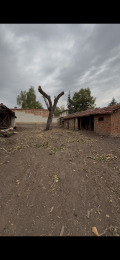 Продава КЪЩА, с. Телиш, област Плевен, снимка 16