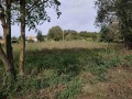 Продава ПАРЦЕЛ, с. Преспа, област Добрич, снимка 1