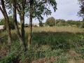 Продава ПАРЦЕЛ, с. Преспа, област Добрич, снимка 4