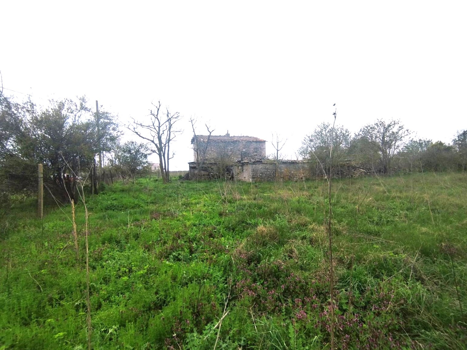 Продава ПАРЦЕЛ | Imot.bg — изображение 1