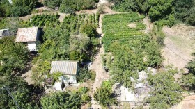 ������ ������� ������