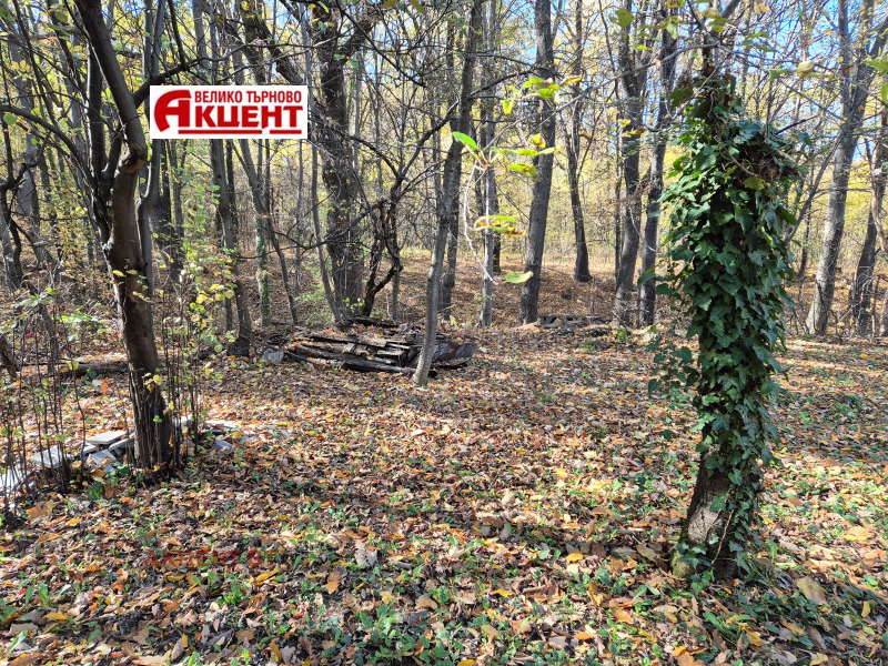 Продава ВИЛА, гр. Габрово, Център, снимка 4 - Вили - 52318840