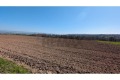 Продава  Парцел град Варна , с. Константиново , 4998 кв.м | 14484736 - изображение [2]