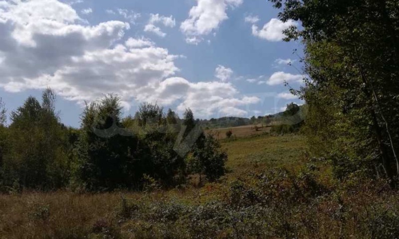 На продаж  Сюжет область Ловеч , Рибарица , 927 кв.м | 68999589 - зображення [5]