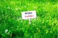 Продава ПАРЦЕЛ, гр. Варна, м-т Боровец - юг, снимка 2