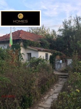 ������ ������� ����