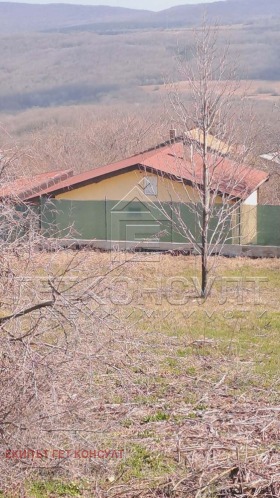 ����� ������� ������,�. �������, ������ �����