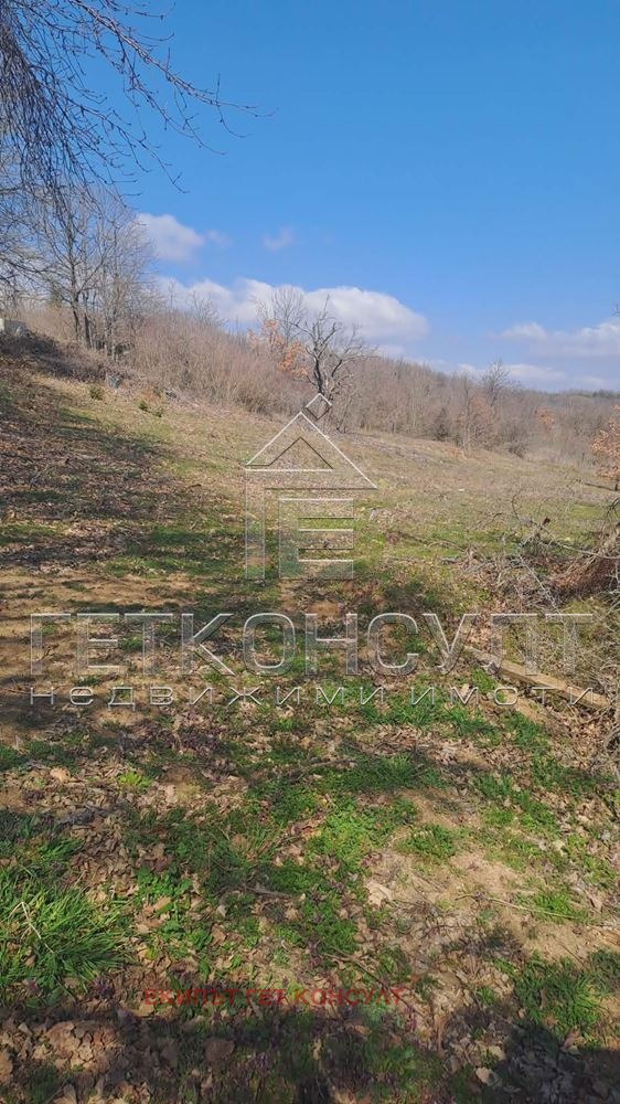 Продава ПАРЦЕЛ, с. Осеново, област Варна, снимка 2 - Парцели - 53854661
