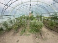 Продава КЪЩА, област Варна, с. Неофит Рилски • 179000 € • 69525266 — Holmes.bg