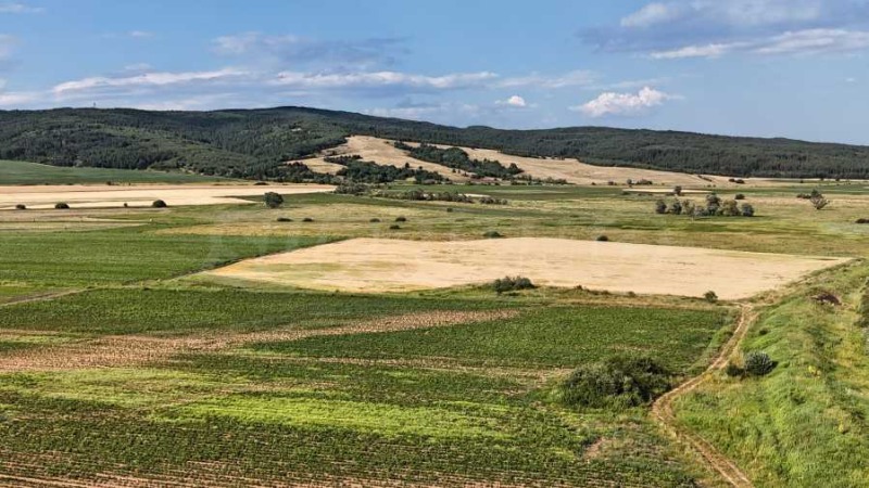 Προς πώληση  Οικόπεδο περιοχή Σόφια , Βελτσην , 4000 τ.μ | 24200340 - εικόνα [5]
