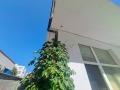 Продава МАГАЗИН, област Бургас, гр. Поморие • 67000 € • 43440894 — Holmes.bg