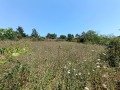 Продава ПАРЦЕЛ, гр. Варна, м-т Боровец - юг, снимка 1