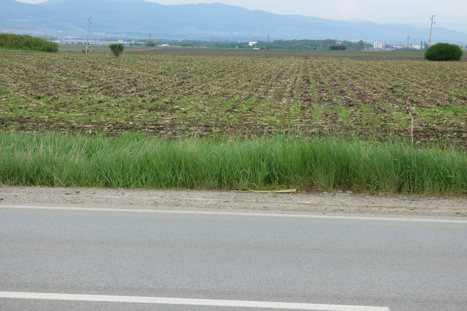 ������� ������ | Imot.bg � ����������� 1