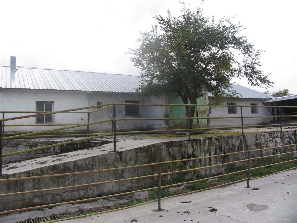 ������� ����� | Imot.bg � ����������� 8