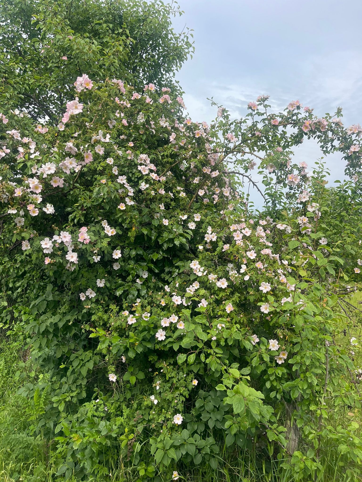 ������� ������ | Imot.bg � ����������� 4