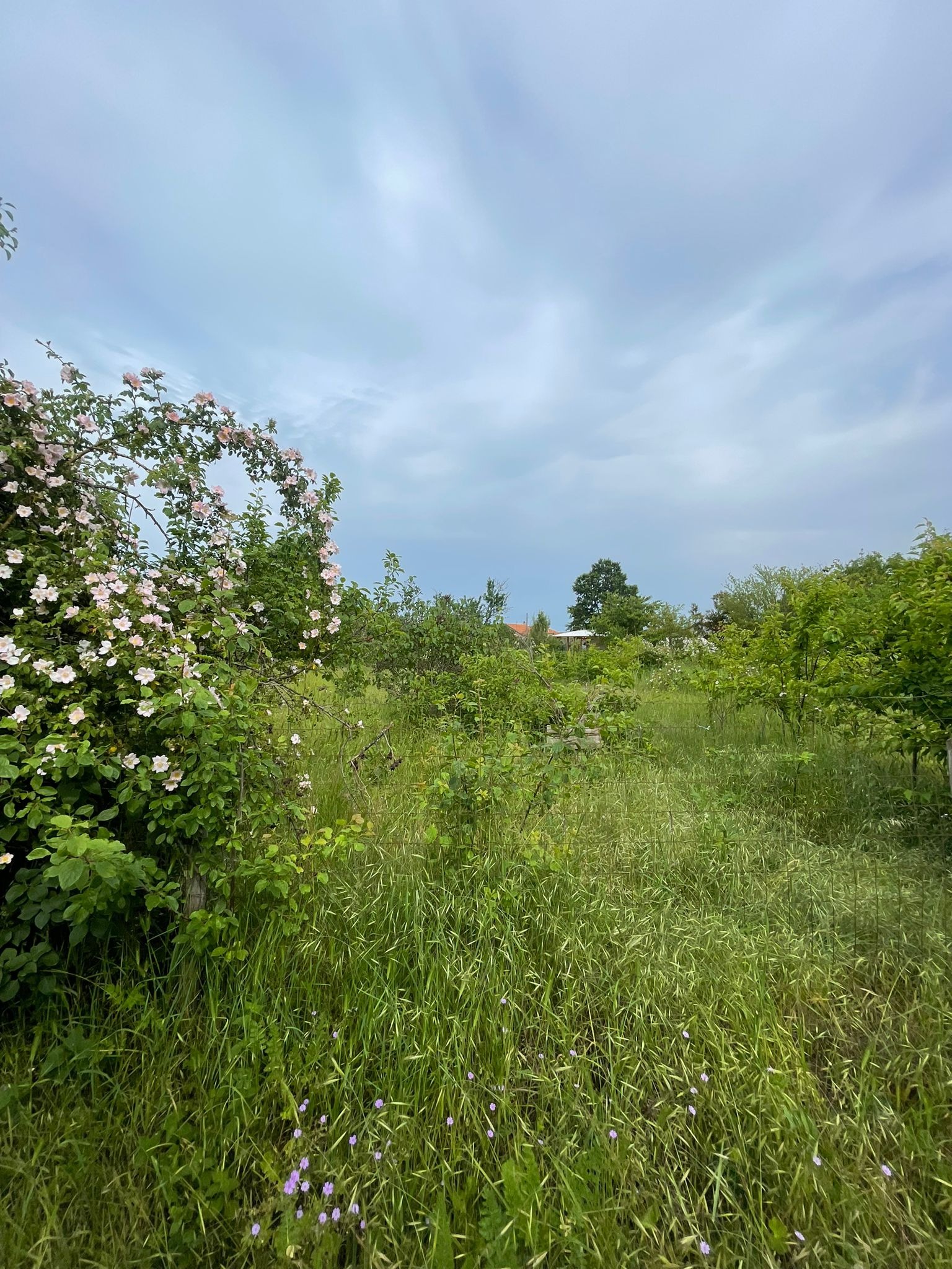 ������� ������ | Imot.bg � ����������� 2